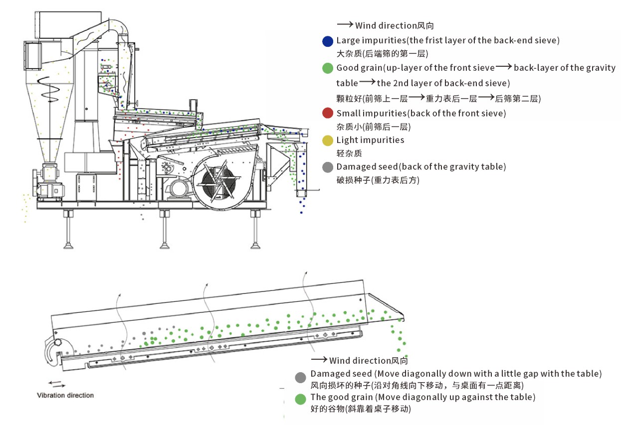 样本主图副.JPG